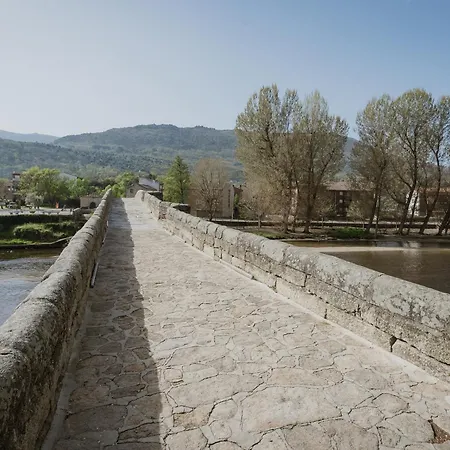 Mirlos * Navaluenga